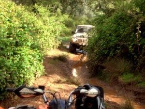 [PICT6833red[1].jpg]